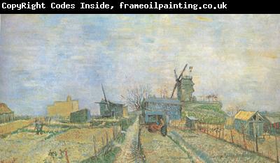 Vincent Van Gogh Vegetable Garden in Montmartre (nn04)